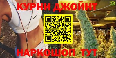 Альфа ПВП Вышний Волочёк
