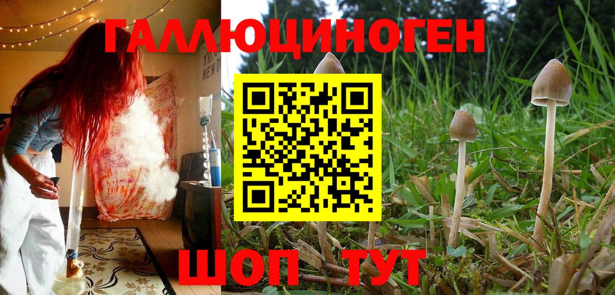 Псилоцибиновые грибы мухоморы  Вход с VPN  купить наркотик  Родники 
