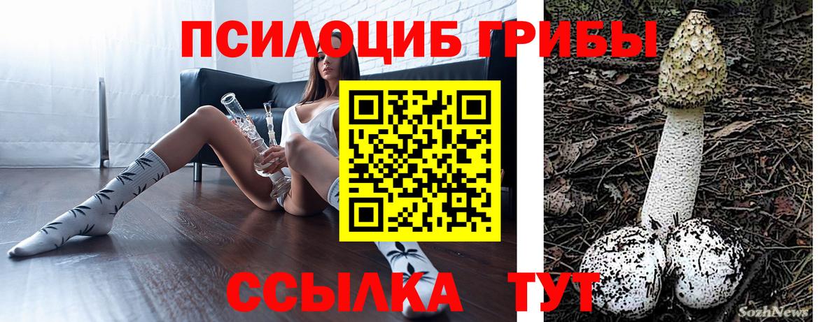 Галлюциногенные грибы ЛСД Родники